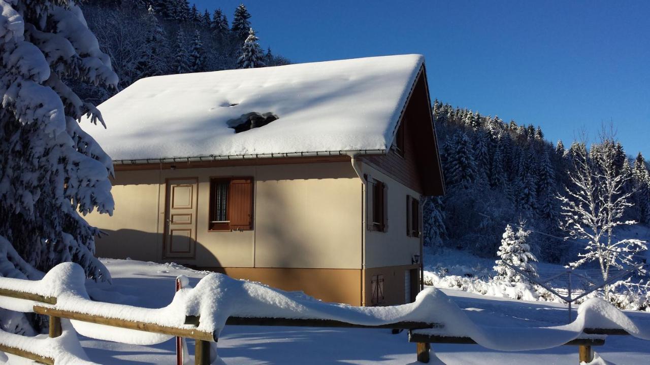 Le Bois Joli Chalet 4 Etoiles Cledicihome Cadre Paisible En Lisiere De Foret Gerardmer Exterior photo